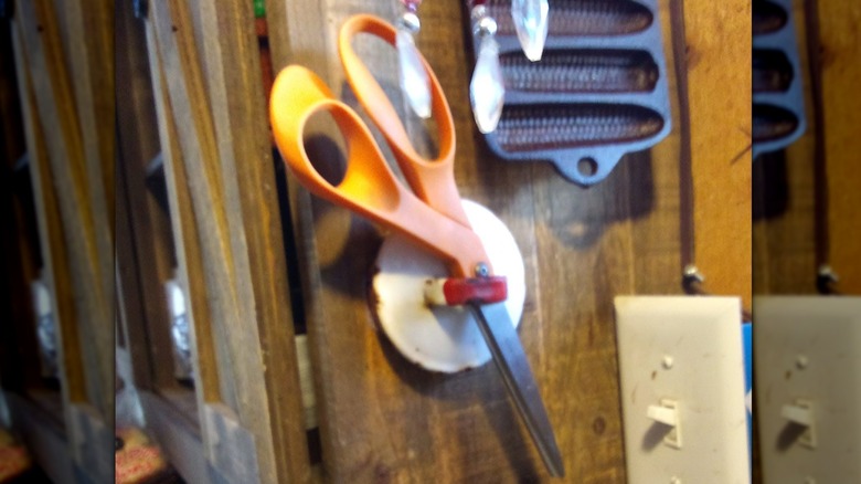 old pot lid holding scissors