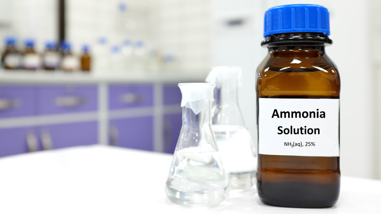 bottle of ammonia in lab