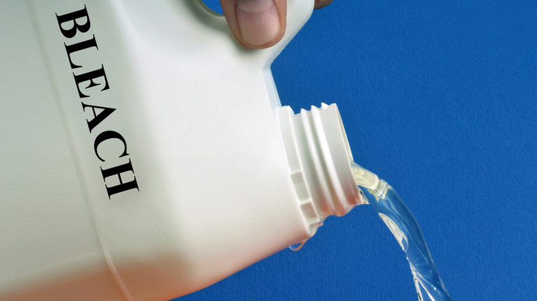Bottle of bleach 