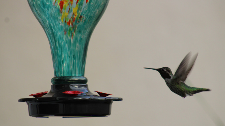 A hummingbird approaching a spotted blue glass feeder.
