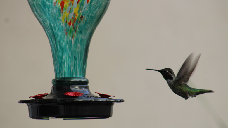 A hummingbird approaching a spotted blue glass feeder.