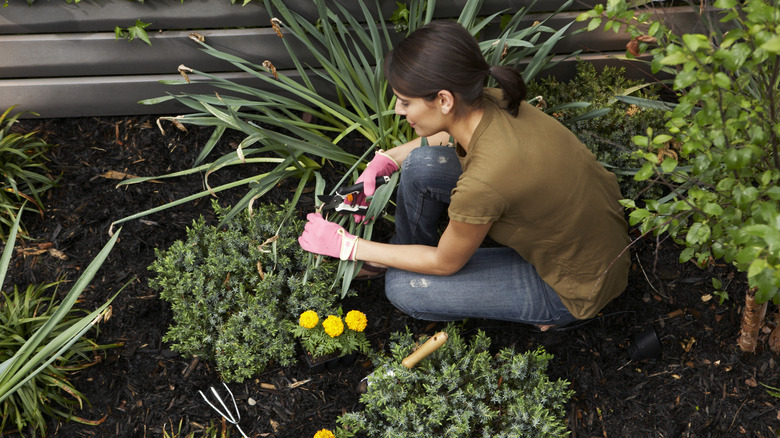 woman crouched in garden tending to plants