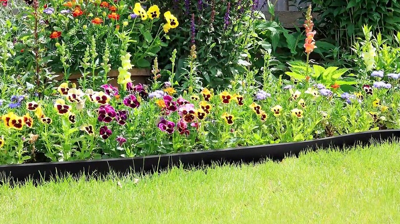 A flower bed and lawn separated by a low edging border