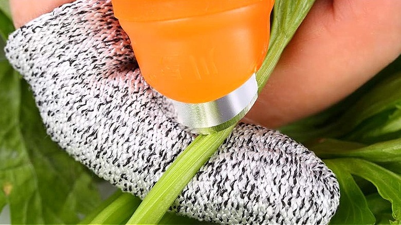 Close-up of a person with a thumb cutter cutting a plant