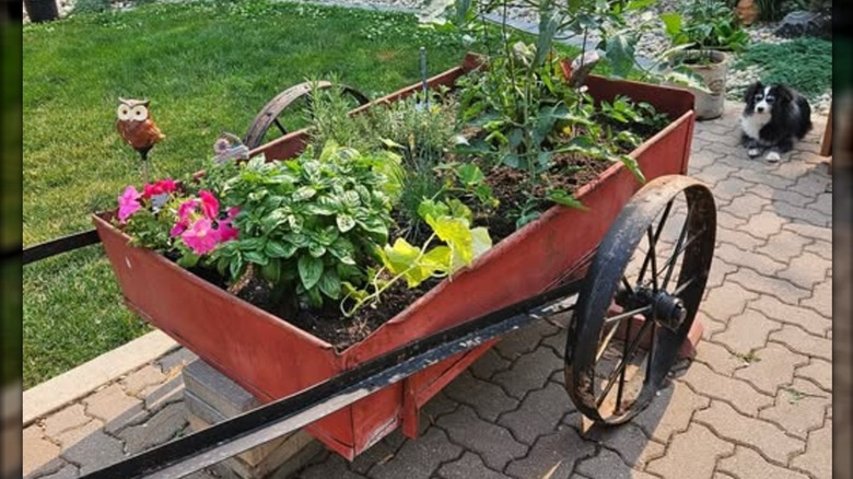 A red wagon repurposed into a garden planter