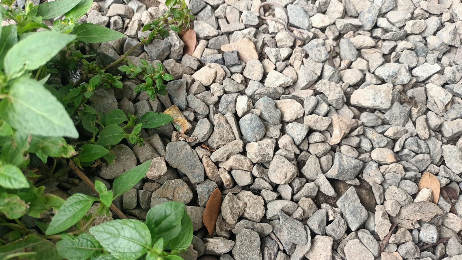 No Hand-Pulling: Keep Gravel Driveways Weed-Free With A Find From Harbor Freight