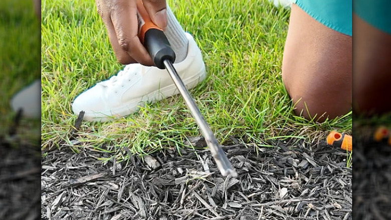 A man's hand holding the FISKARS weed removal tool preparing to push it into the dirt