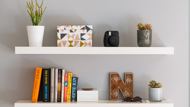 Two white painted modern bookshelves with books, plants, a decorative storage box and personal items.