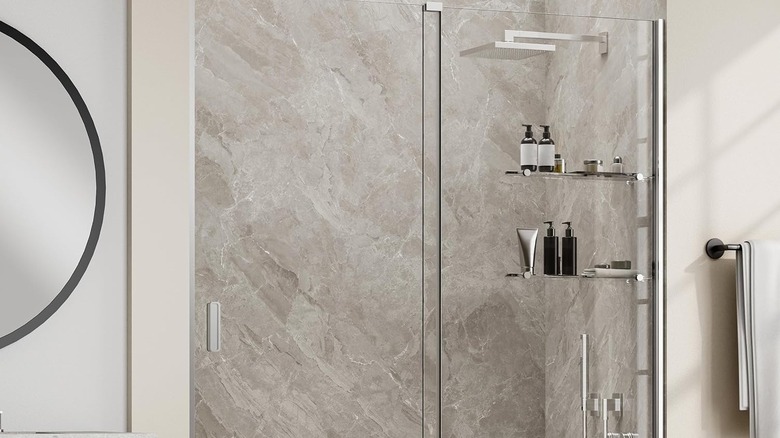 A modern glass shower door with shelving.