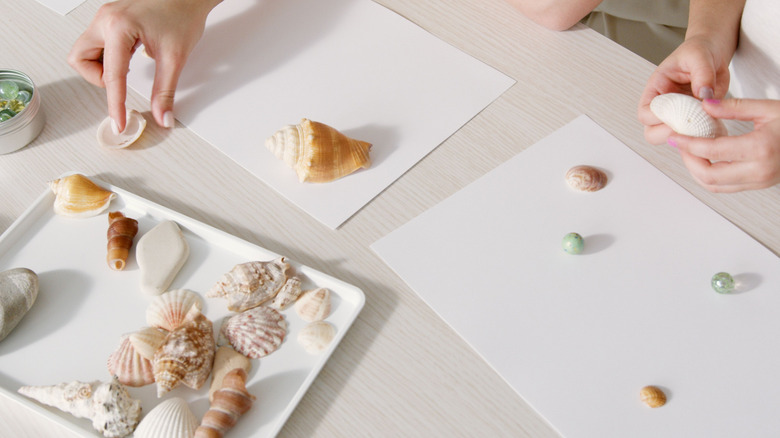 A hand picks up a shell surrounded by different types of shells and glass marbles on a table.