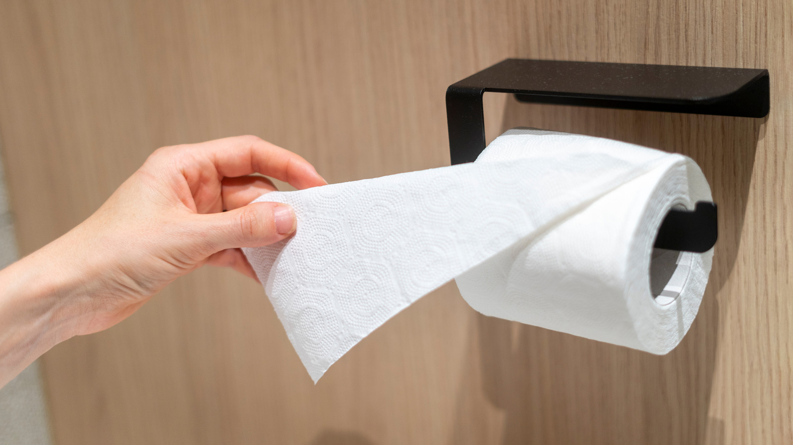 No More Basic Toilet Paper Holders: A Fun And Unique Alternative You ...