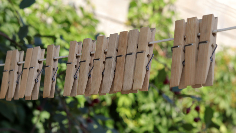 Wooden clothespins on a line in front of plants