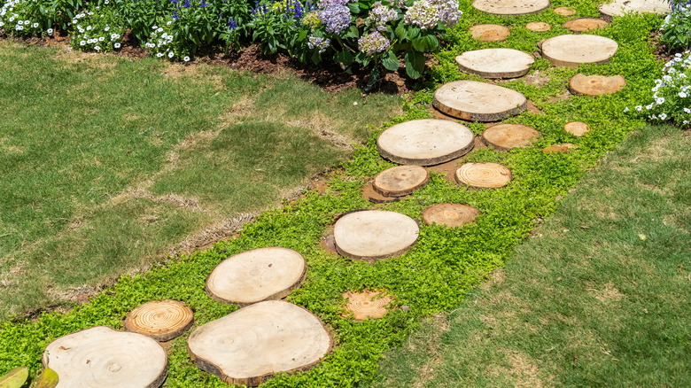 Tree rounds form a path through a grassy garden, with purple and white flowers blooming on both sides of the path