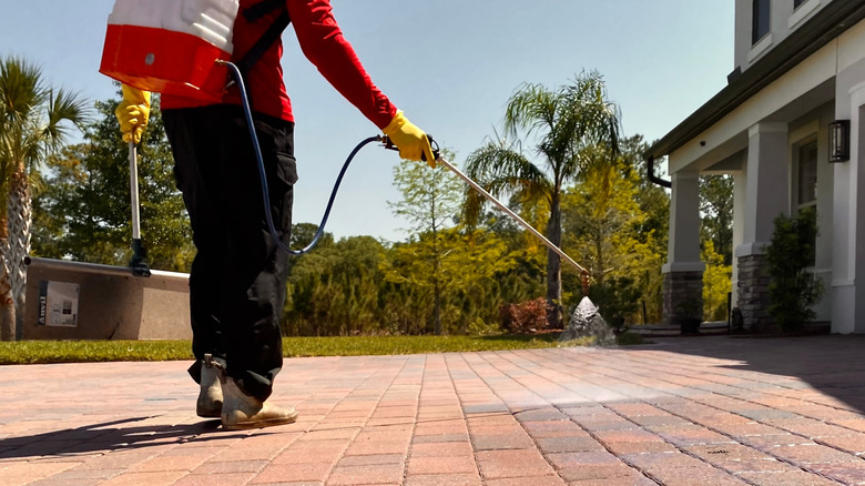 A man sealing patio pavers to protect them from stains and fading