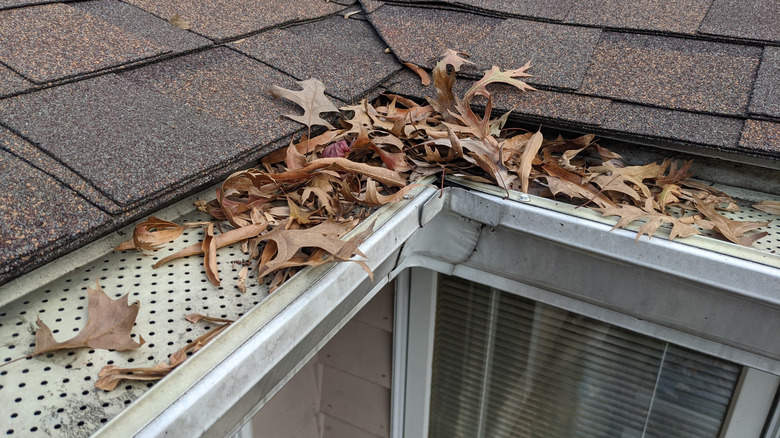 Debris on a gutter guard