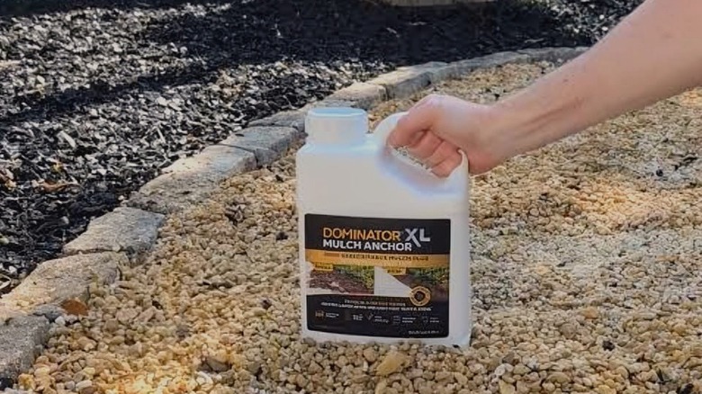 Person holding DOMINATOR Mulch Anchor jug over gravel