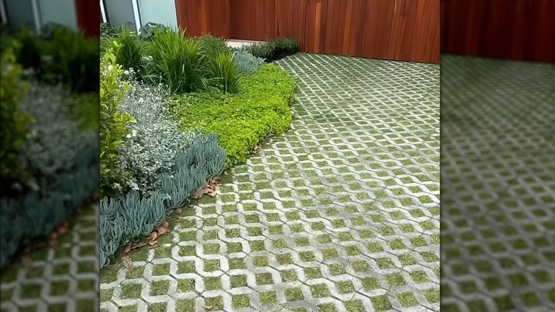 a permeable paver driveway filled with vegetation