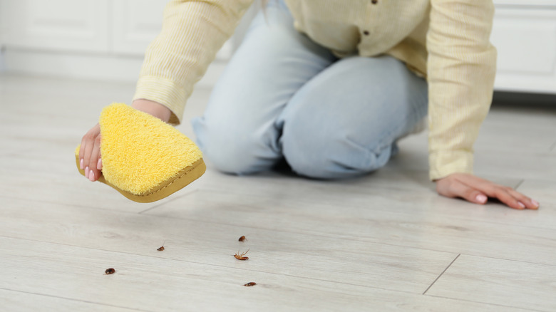 A person holding a shoe above several bugs
