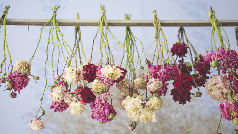 Flowers hanging to dry