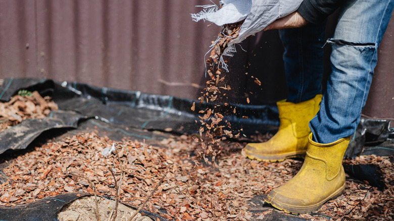 A person wearing yellow garden boots pours wood chip mulch from a bag onto a garden bed lined with landscape fabric.