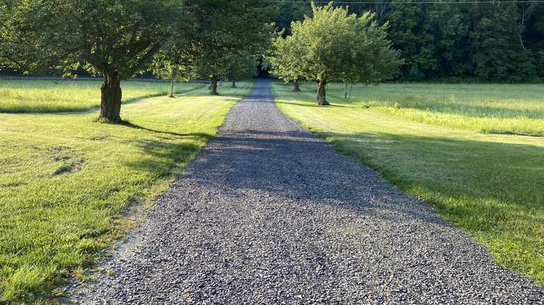 A long gravel driveway extending to a road