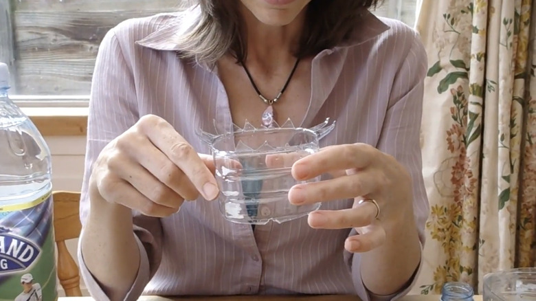 Close-up of a person holding a homemade anti-slug plant collar, made from an old plastic bottle
