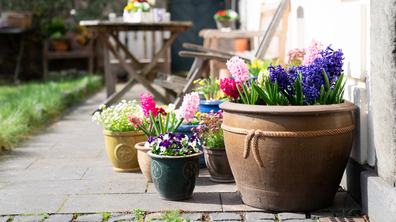 Flowers in pots on a porch