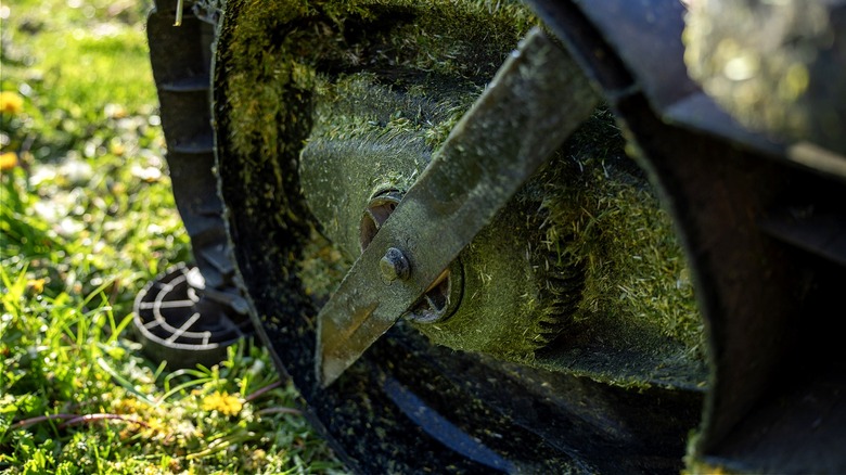 Close-up of a lawn mower blade underneath a lawn mower with blurred grass behind it.