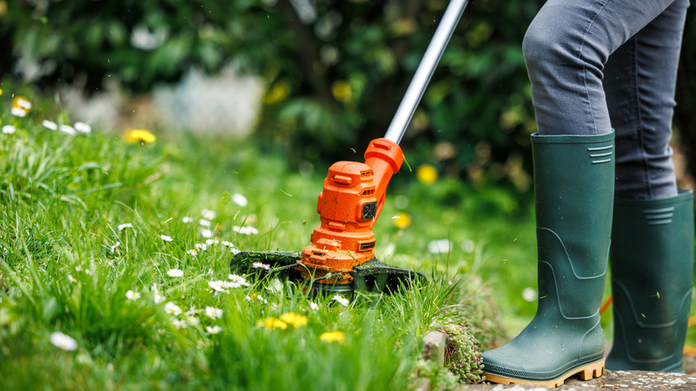 Person using grass trimmer on lawn while wearing rainboots
