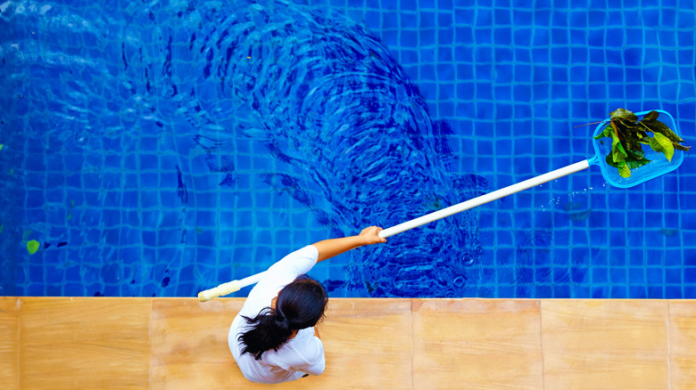 Woman skimming leaves out of a swimming pool