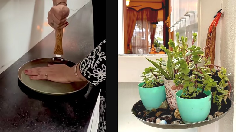 The wooden handle of a shallow frying pan is bent and hung on the wall to create a shelf holding several small potted plants.