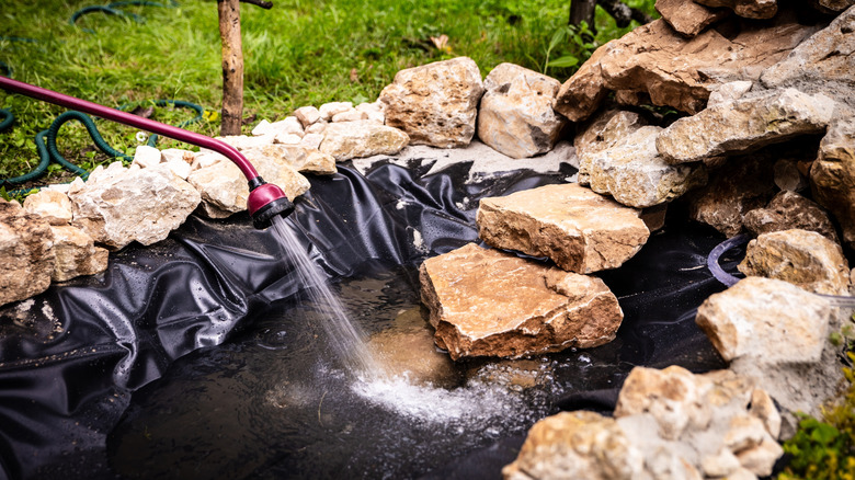 A hose fills up a backyard pond.