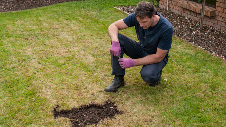 man examining hole and dirt patch
