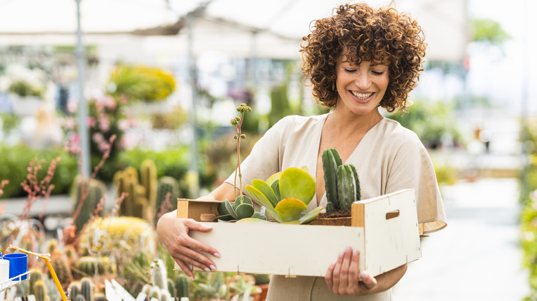 A woman holds a box full of succulents while shopping a plant center.