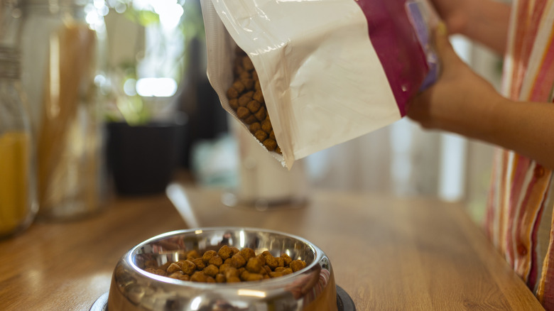 Hands pouring kibble for dog from a bag into a dog food bowl.