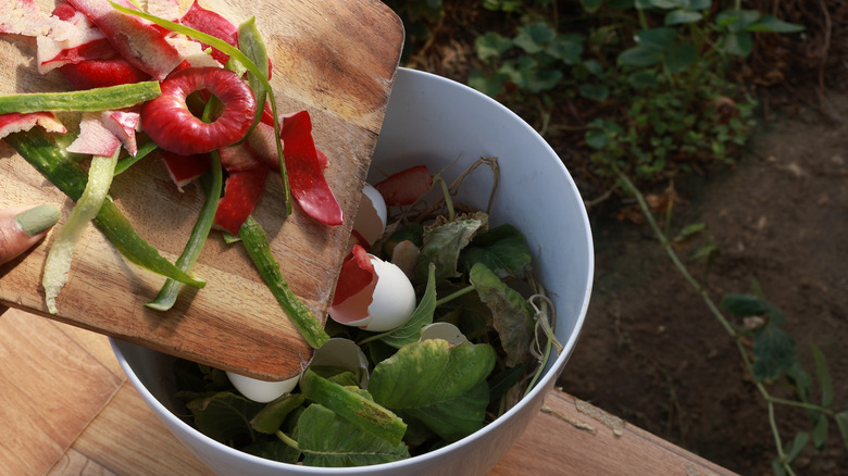Person emptying kitchen scraps into a compost receptacle.