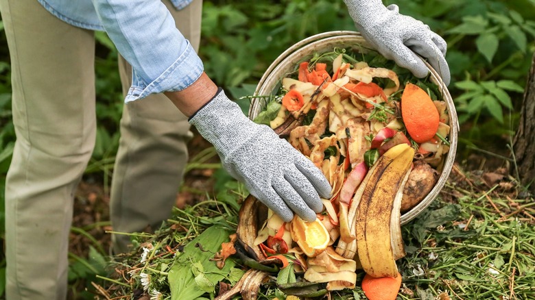 Compost pile with banana peels and old fruits
