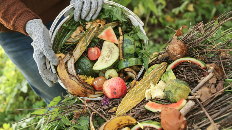 A person dumps food scraps into a compost pile that's mostly made of trimmed dead branches and fresh, green foliage.