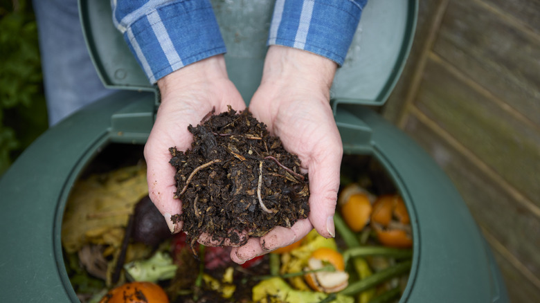 Person holding handful of compost