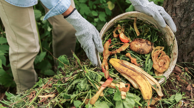 Person putting food scraps on compost heap.