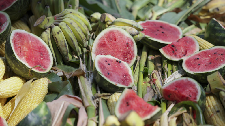 Watermelon in a compost pile