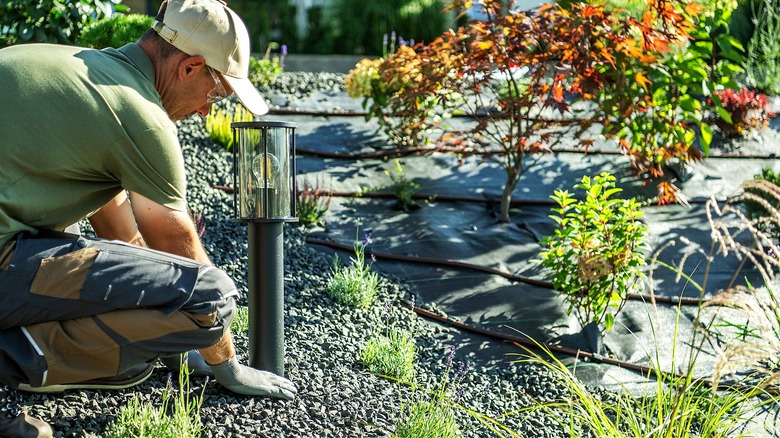 Gardener installing a solar light in a rock garden