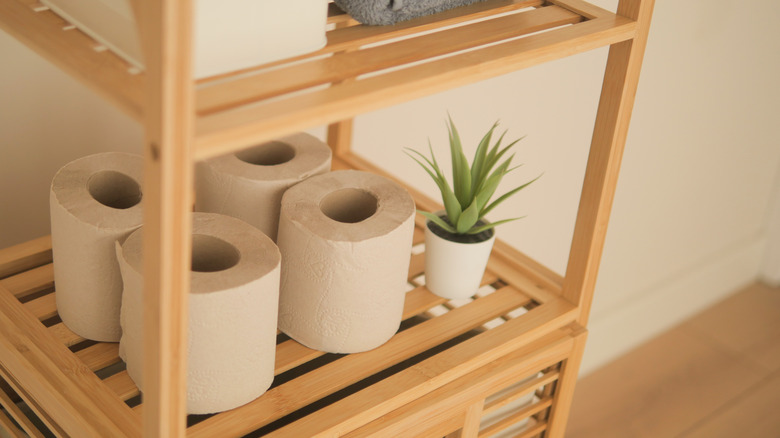 a stylish bathroom interior with a shelving unit holding toilet paper