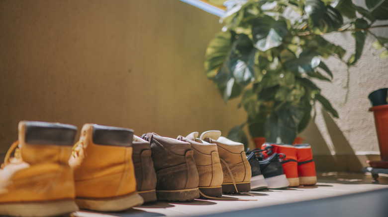 A row of shoes sitting on hardwood flooring