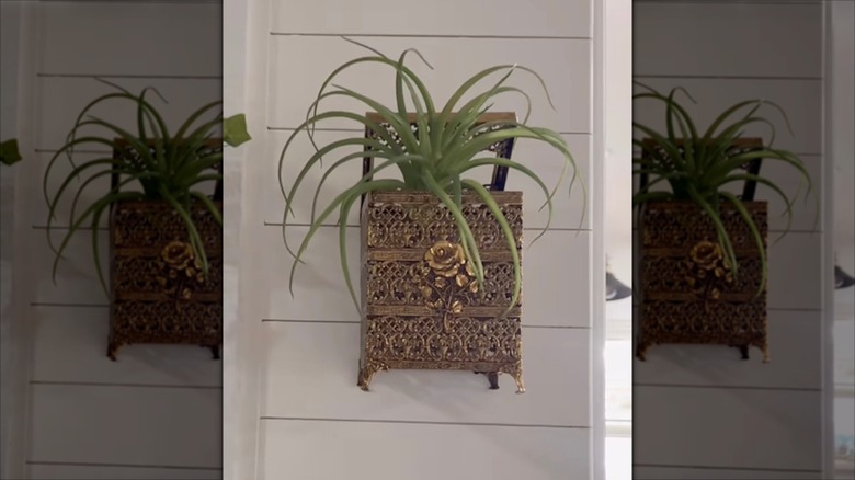 Brass tissue box cover upcycled into a hanging wall planter.