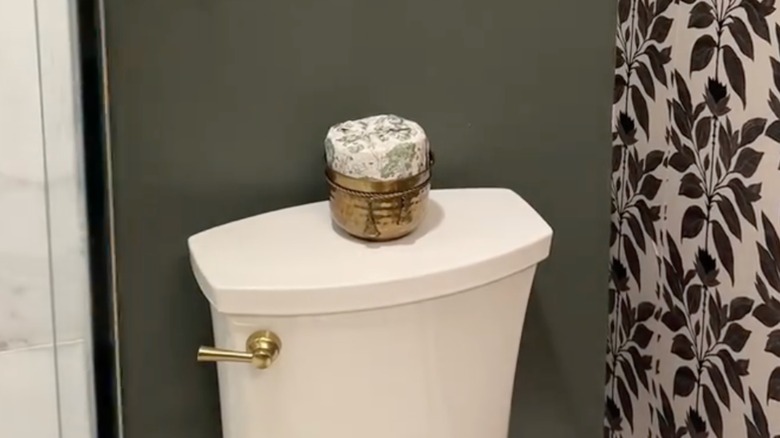 wrapped toilet paper in a bowl on a toilet bowl