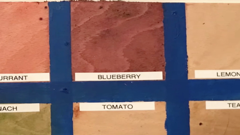 A test piece of wood stained with homemade blueberry juice and pulp alongside other natural food stains.