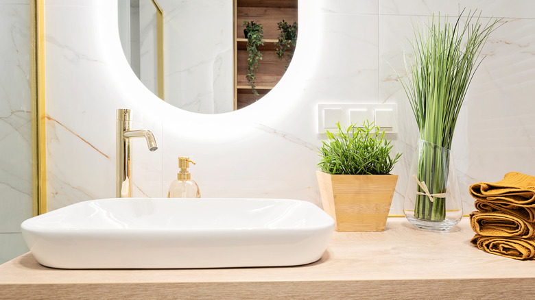 A bathroom sink counter with plants on it