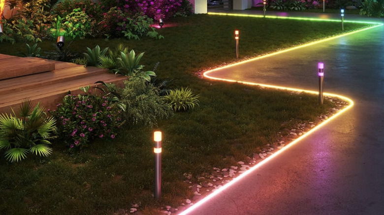 Govee neon lights lighting up garden beds in backyard