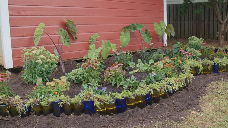 A garden bed bordered by glass bottles stuck into the soil in a curved row
